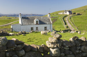 A house in rural Scotland. There is a drystone wall in the foreground, green fields, then the house. The house is a croft house, painted white