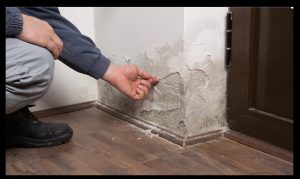A person is bending down to examine the bottom of an indoor wall. The indoor wall is wet and the plaster is peeling.
